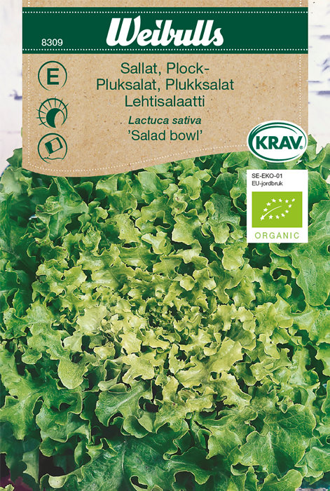 Pluksalat 'Salad bowl' økologisk